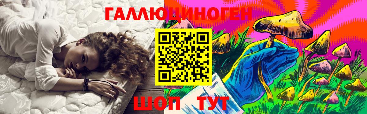 Псилоцибиновые грибы прущие грибы  где можно купить наркотик  Псилоцибиновые грибы мицелий  Верхняя Пышма  Вход с VPN 